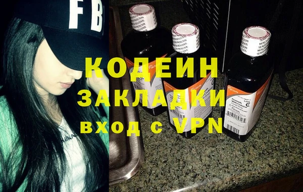 амф Вяземский