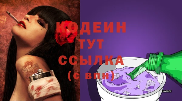 амф Вяземский