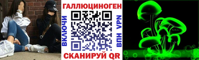 Псилоцибиновые грибы Cubensis  Еманжелинск 